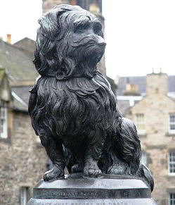 Greyfriars Bobby Image by PublicDomainPictures from Pixabay